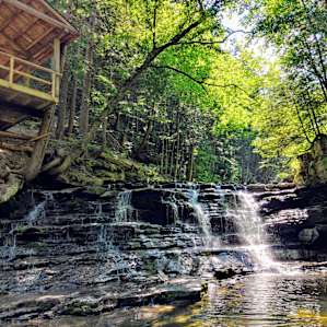 Towner's Country Paradise: Site 3