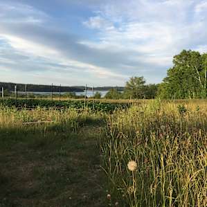 Smithereen Farm