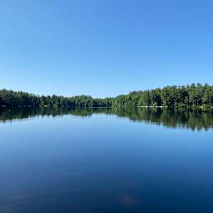 View of the lake