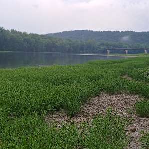 Waters island