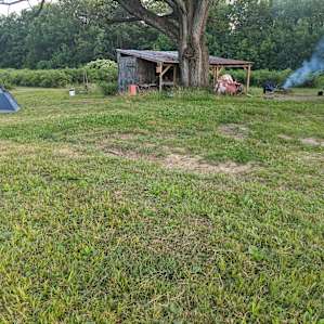 Blueberry & Chestnut Farm