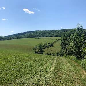 A view of the fields beyond the campsite. Definitely room to roam!