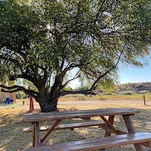 Group site 1. Great shade tree. Full of bees, but never a problem. Site had its own compostable toilet and sink!