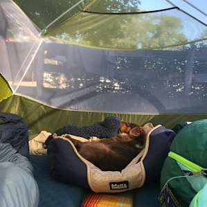 Nightmusic camp