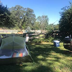 Nightmusic camp