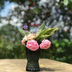 Summer on a farm #2