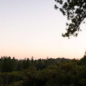 California Game Farm