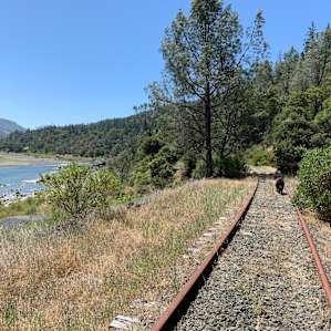 Abandoned railroad tracks