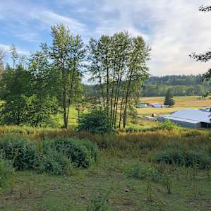 Horse Lovers Paradise - Hillside