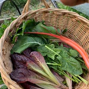Earth Mountain Education Farm