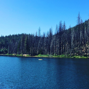 Letts Lake 2020 - after the Mendocino Complex fire in 2018. Half the trees around the lake have been burned. Looks completely different.