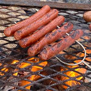 Campfire dogs the best