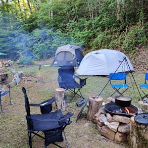 Holley's Wood _Solo Site Experience