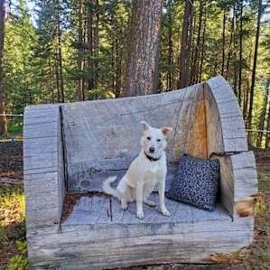 Our pup, Kasha, loved it here!