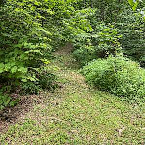 Hiking trails