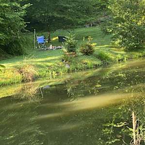 Pond Springs
