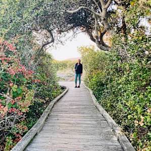 Elfin Forest Preserve boardwalk.