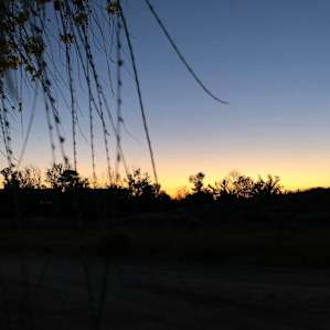 Sunset