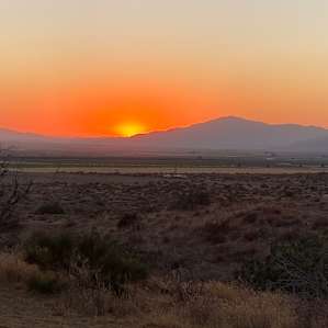 Sunset from the site