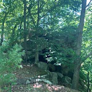 Reformed Hunting Cabin