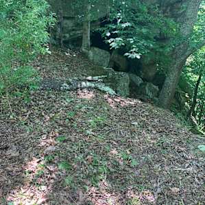 Reformed Hunting Cabin