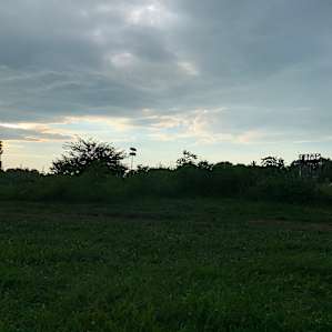 After the rain...