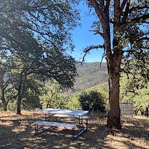 Pura Vida Springs Ranch