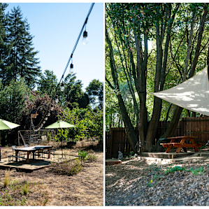 Tall Oaks Campsite at Organic Farm