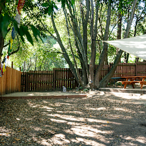 Tall Oaks Campsite at Organic Farm