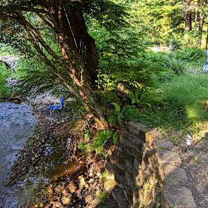 Wilderness Path creek camp