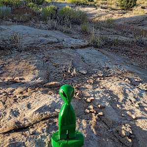 My camping Buddy