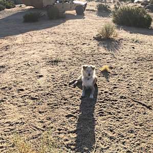 Open Land Sites
