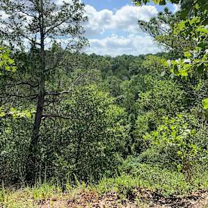 At the top of Huckleberry Hill! The reserve has the best hiking trails!