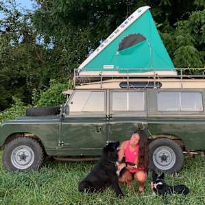 Sheep Safari in Classic Land Rover
