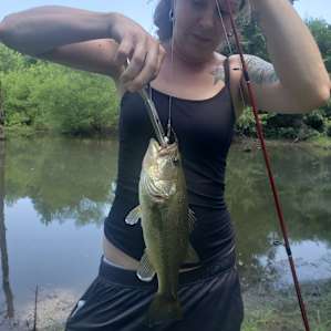 The fishing pond