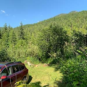 View of the site in the background. The river is beyond the trees shown in the back of the picture. The chairs/logs, etc. are around the fire ring. Lots of space here to pitch multiple tents.