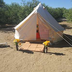 YURt TENT