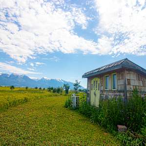 A cool little tinyhouse on site