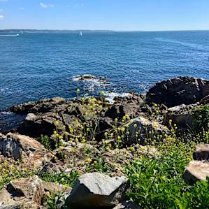 Bakers Island Light Campsite