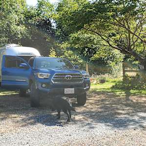 Parked next to the meadow