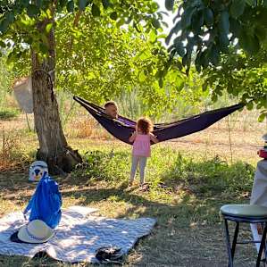 Walnut Grove on Organic Veggie Farm