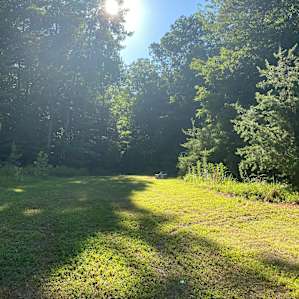 Beautiful clearing