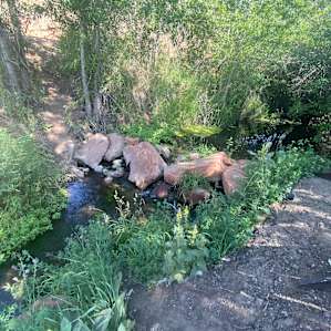 ELEVATED WESTERN CREEKSIDE CAMPING