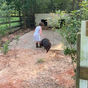 The Bellwether Farmstead