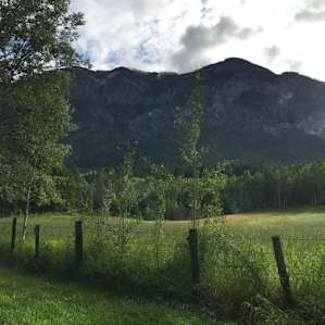 View from the back of the property