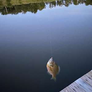 Catch of the day
