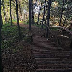 Grey Owl Hollow