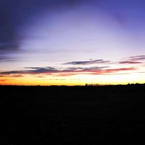 The Meadows of Isleton