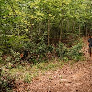 2 things to note. Lots of brush to keep a fire going, which is great. Also, the path back to cars is uphill but maintained.