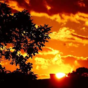 Beautiful sunset!